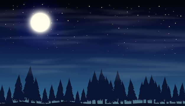 Vector night scene with silhouette woods