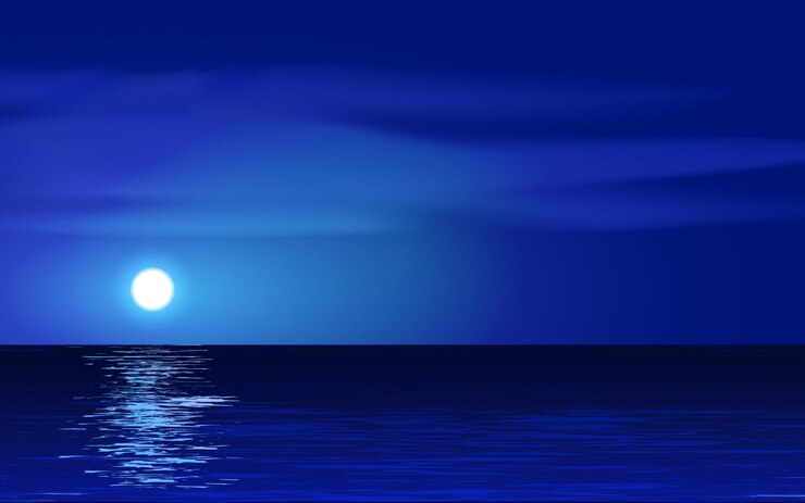 Vector night scenery in ocean with moon