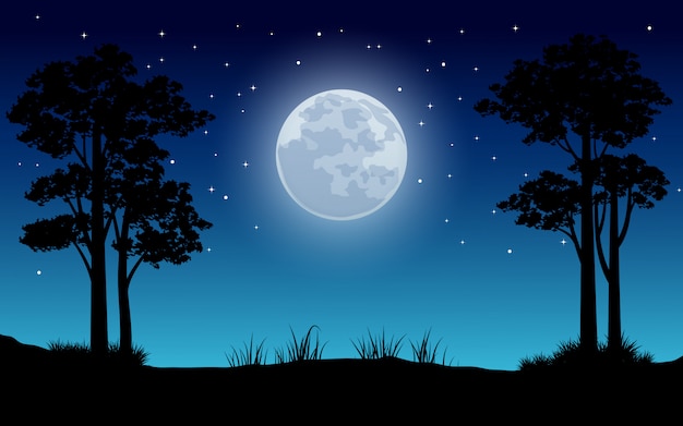 Вектор Ночной пейзаж с полной луной и звездами