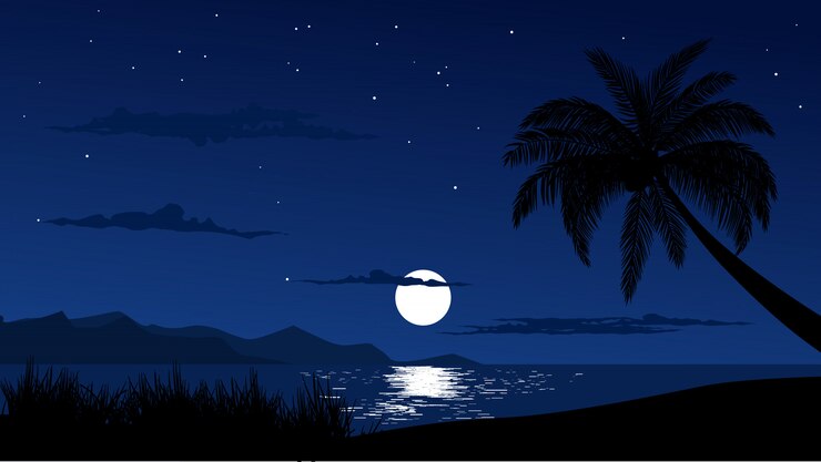 Vector night sky at tropical beach