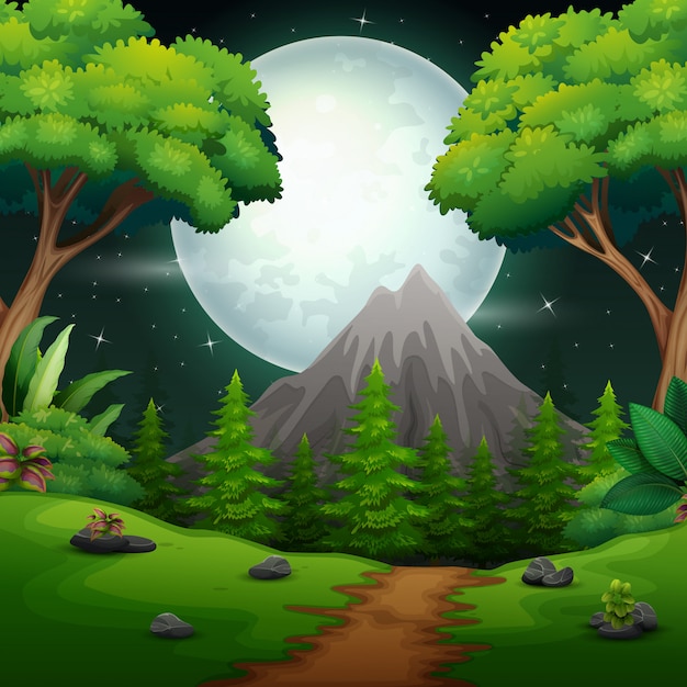 Night time forest landscape with a full moon