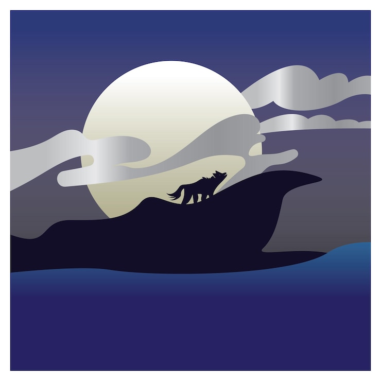 Vector night with full moon moonlight outdoor view illustration