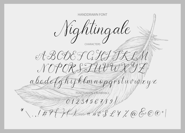 Nightingale Handdrawn calligraphic vector font