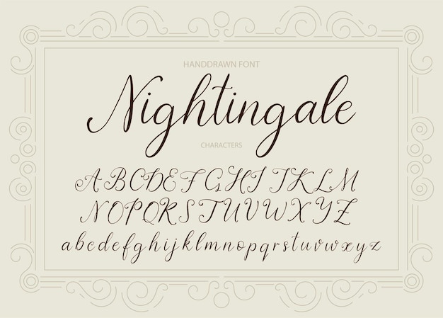 Vector nightingale handdrawn calligraphic vector font