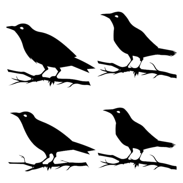 Nightingale silhouettes Black flat color simple elegant Nightingale animal vector