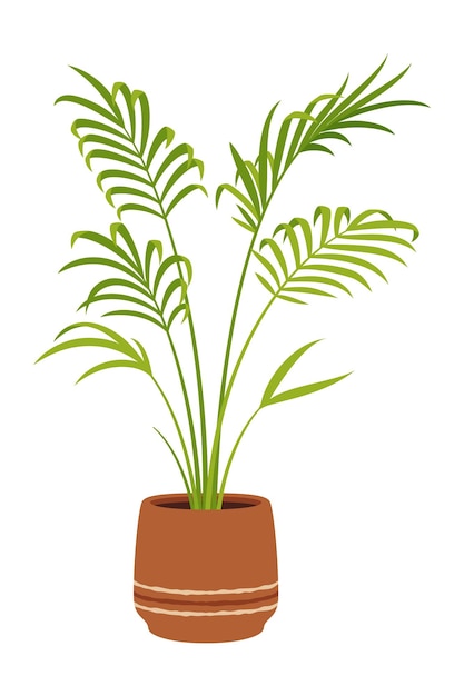 ベクトル ニカウヤシのポットベクター画像熱帯植物で、羽のような葉と背の高い細い幹を持つニュージーランド原産の緑豊かな葉を持つオフィス用観葉植物で、屋内または屋外の装飾に最適です