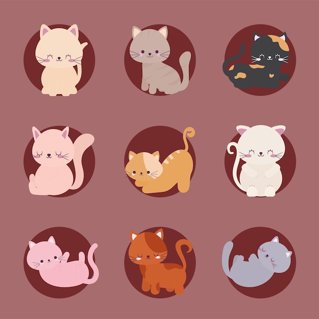 Nine cute cats