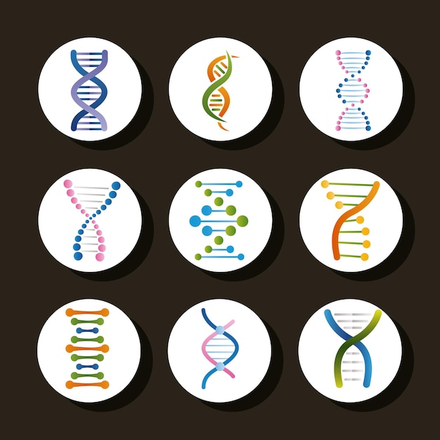 Nine dna genetic set icons