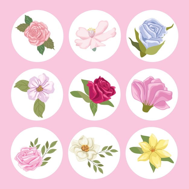 Nine garden icons