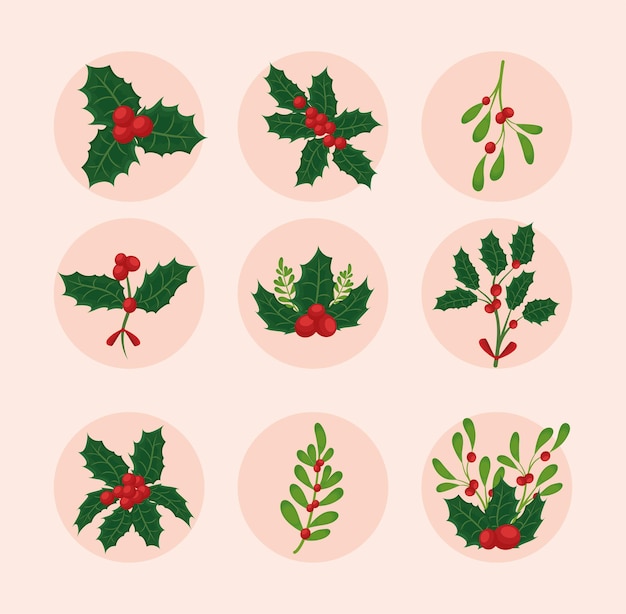 Vector nine mistletoe branches