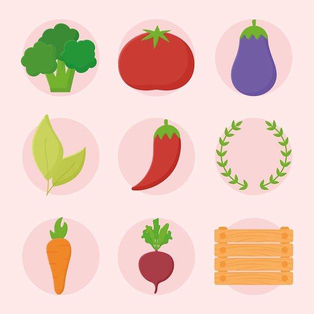 Vector nine vegetables design