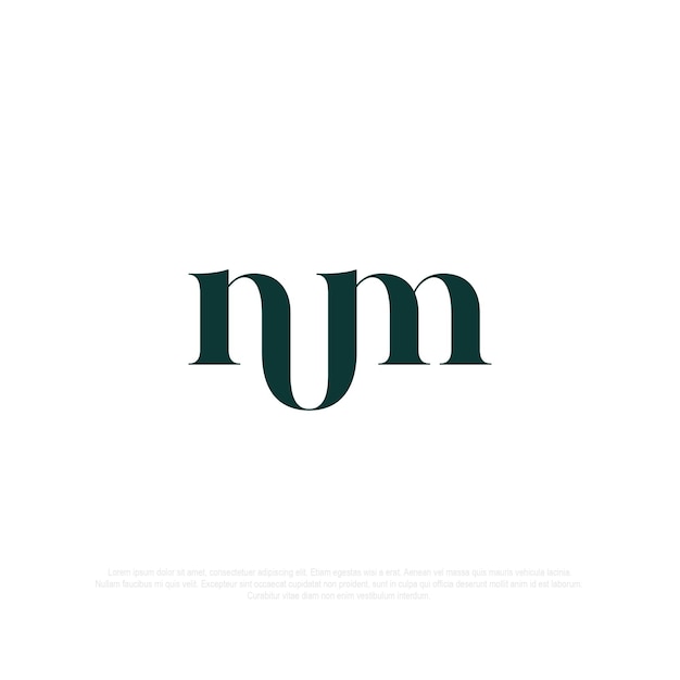 NM monogram logo