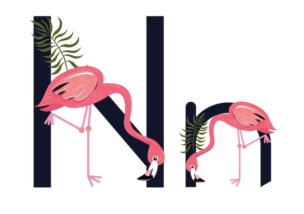 Vector nn flamingo's