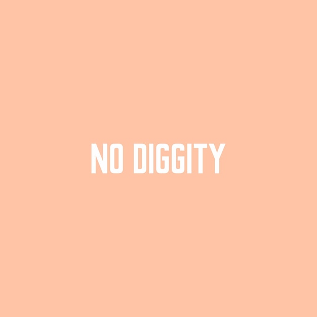 No diggity typographic print slogan for  t-shirt printing design and various jobs, typography.