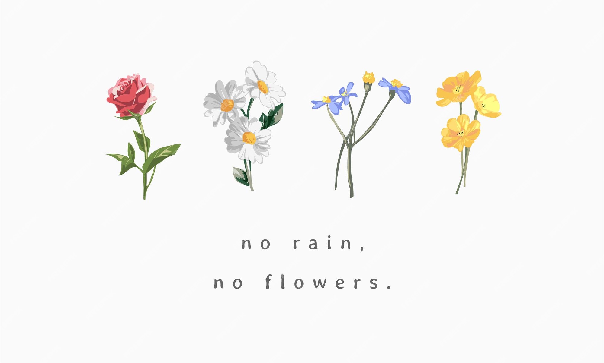 Premium Vector No rain, no flowers slogan with colorful wild flowers vector illustration