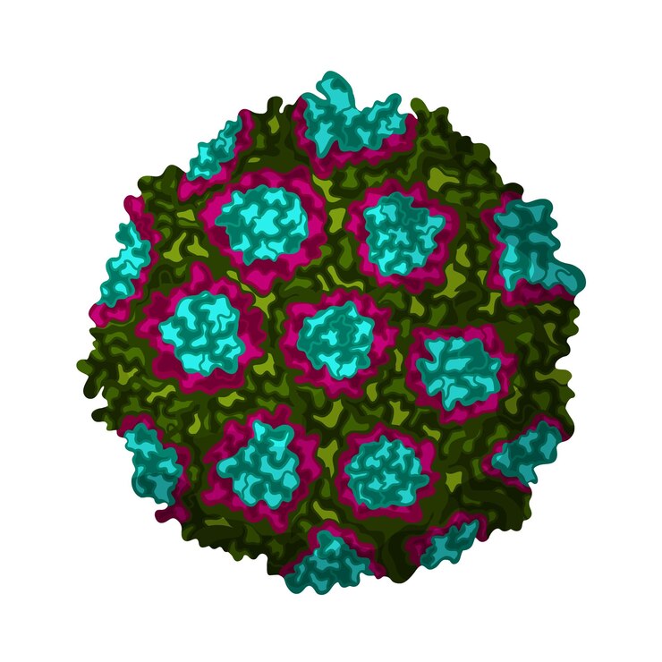 Vector norovirus stomach flu illustration on white background cartoon style