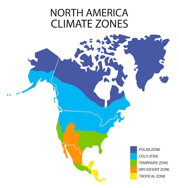 Вектор Карта климатических зон северной америки векторная географическая инфографика