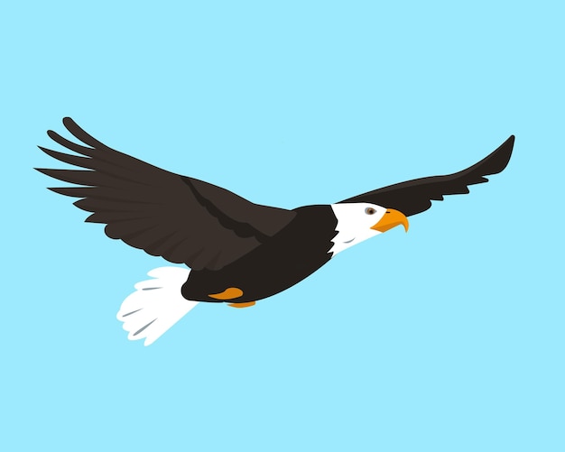 North american bald eagle flying in sky. bird icon isolated on\
blue background.