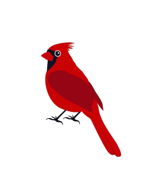 Vector northern cardinal red male christmas bird flat cartoon vector