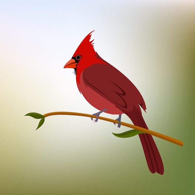 Вектор Премиальная векторная иллюстрация северных кардиналов