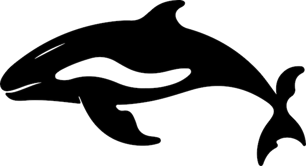 northern right whale black silhouette with transparent background