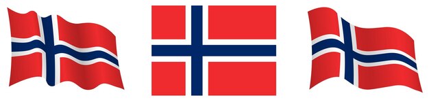 벡터 노르웨이 발의 정적 위치와 움직임, 색 바탕에 정확한 색상과 크기로 바람에 의해 발전