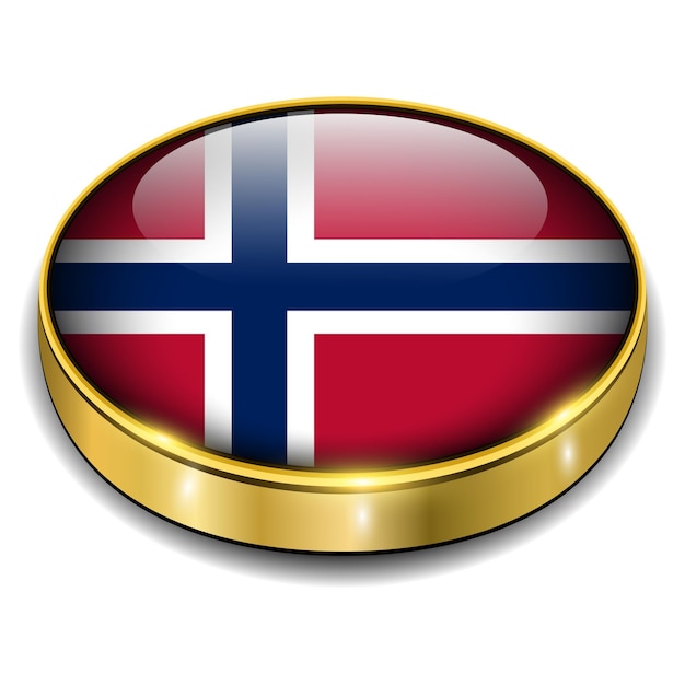 ノルウェー ノルウェーの国旗 3 D ボタン ベクトル