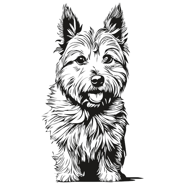 노리치 테리어(Norwich Terrier) 개 선 그림 흑백 잉크 스케치 얼굴 초상화(벡터 현실적인 품종 애완동물)