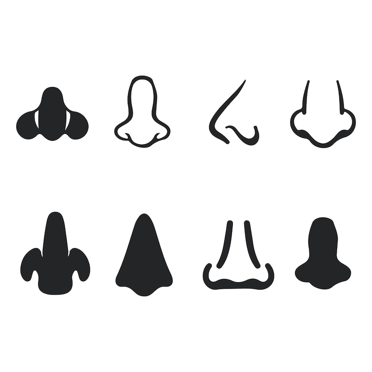 Vector nose icon design nose icon in trendy platte stijl design