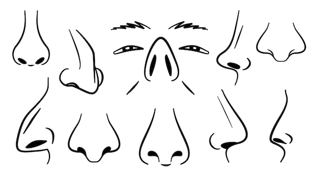 Nose Icon Line Vector Set Human Face Organ Collection