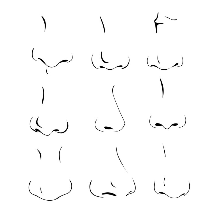 nose models handmade silhouette logo collection