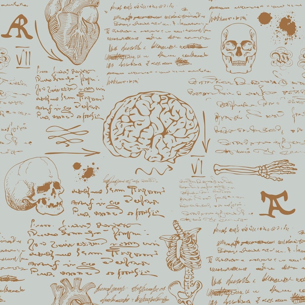 Vector notes from the diary of a scientist anatomist with sketches