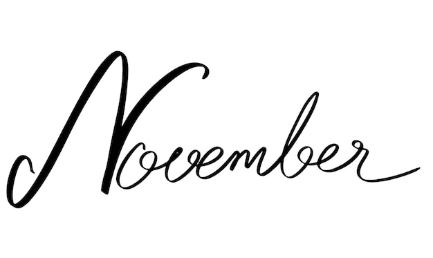 Вектор Ноябрь месяц каллиграфия текст шрифт рукописный знак символ украшение украшение ноябрь вектор il