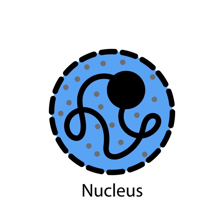 Vector nucleus of human cell logo