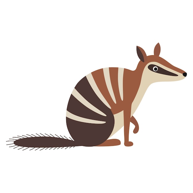numbat animal cartoon character