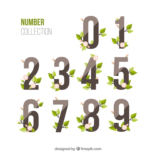 Vector number collection with floral style