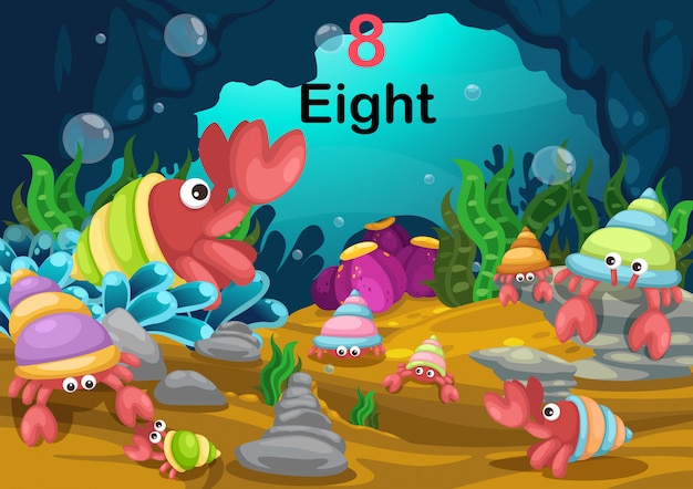 Number eight hermit crab under the sea vector