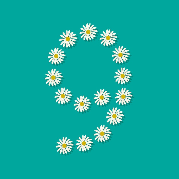 Number nine from white chamomile flowers. Festive font or decoration for spring or summer holiday and design. Vector flat illustration
