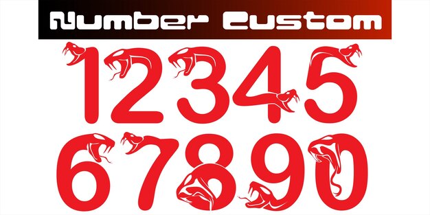 Number sets up to premium custom with snake combinations