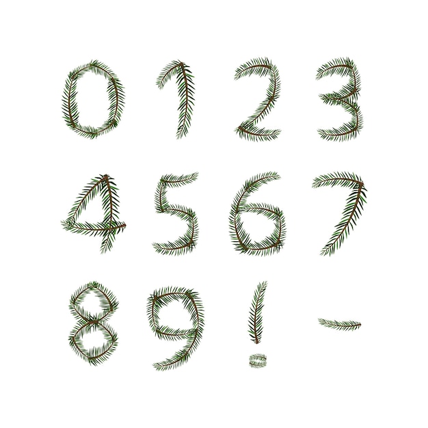 Vector numbers from green christmas tree branches festive font symbol of happy new year and christmas chara...