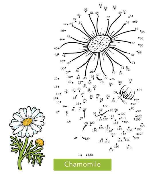 숫자 게임, 어린이를 위한 교육 도트 투 도트 게임, 꽃 카모마일