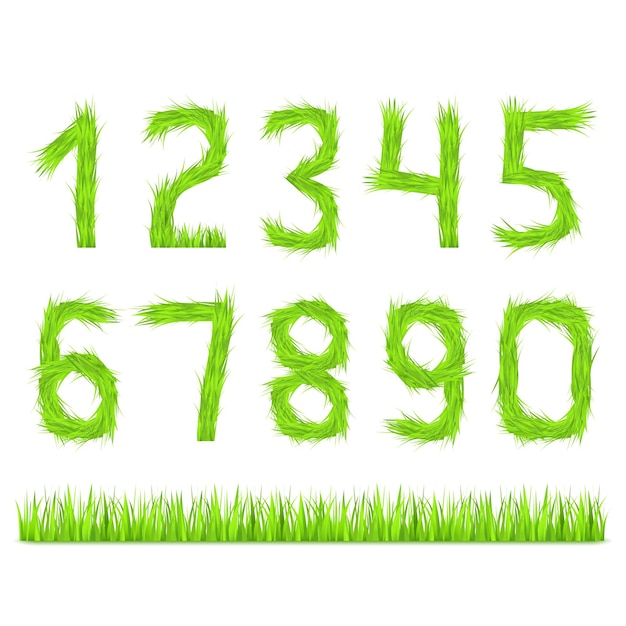 Numbers made of green grass vector eps10 illustration