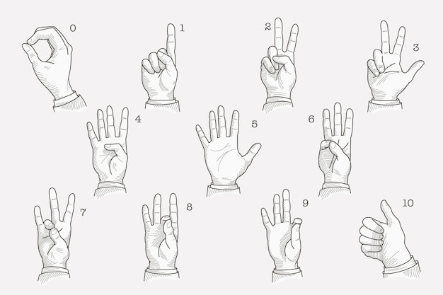Vettore numeri impostati in un alfabeto del gesto della mano sordomuto vettore di stile di incisione disegnato a mano