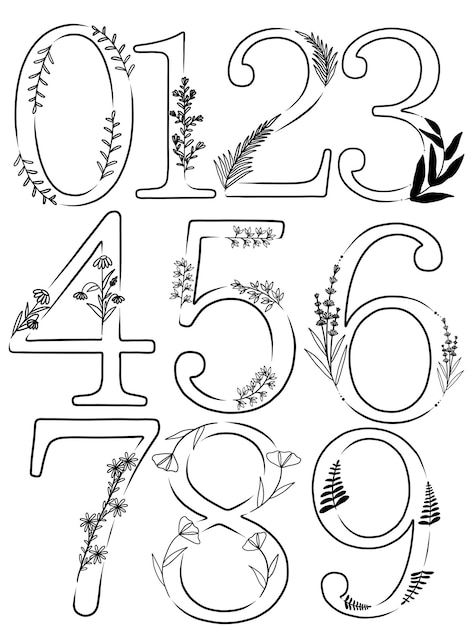 Numbers with different flowers vector art