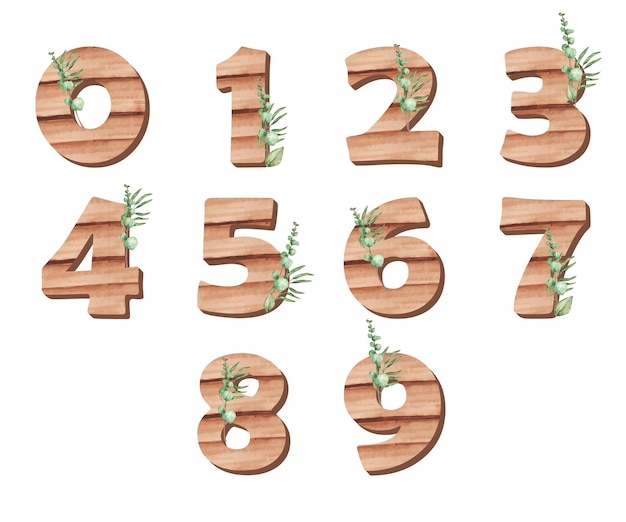 Numeric text with wooden texture and floral illustration