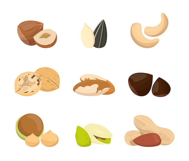 Nut collection. natural food, snack seed