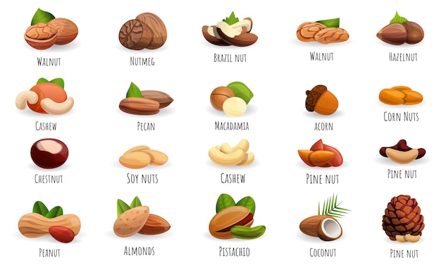 Nut icon set