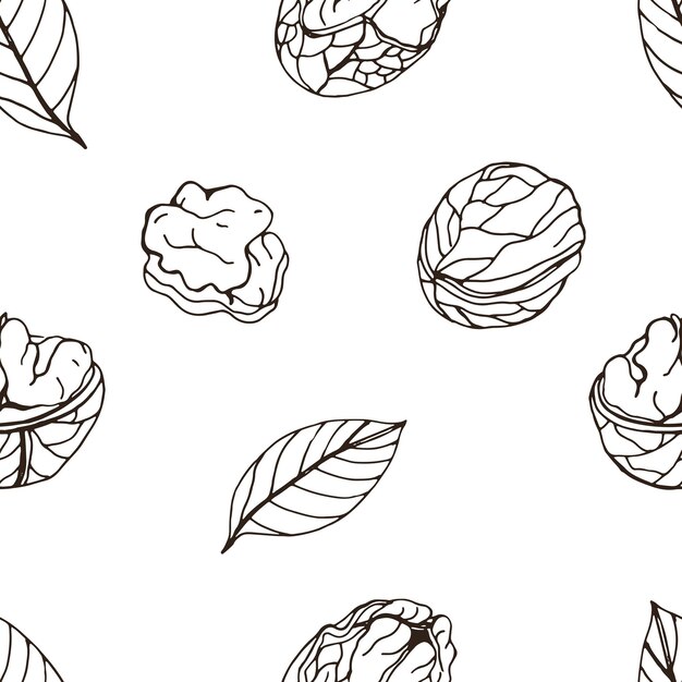 Vector nut seamless on white background. hand drawn contour pattern with walnut.