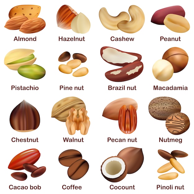 Vector nut types signed names mockup set