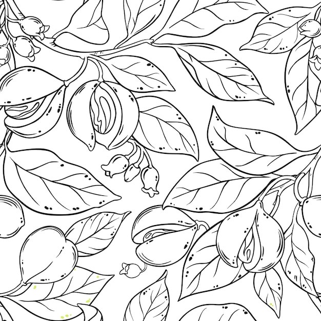 Nutmeg seamless pattern